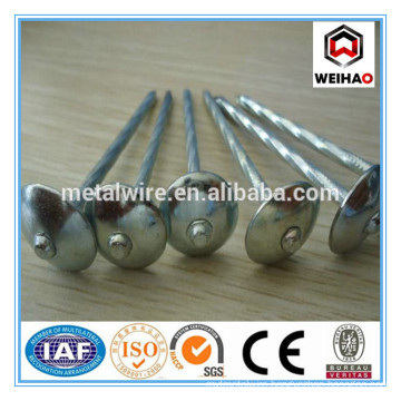 Widely use twist shank roofing nails g8-g12